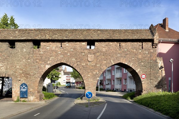 Nibelungen Museum