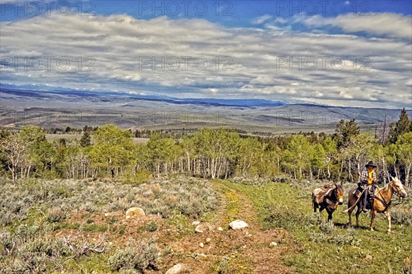 Cowboy with pack mule