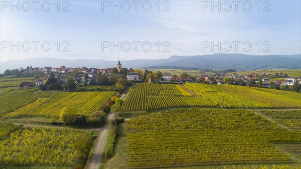 View over the vineyards to Zellenberg in Alsace