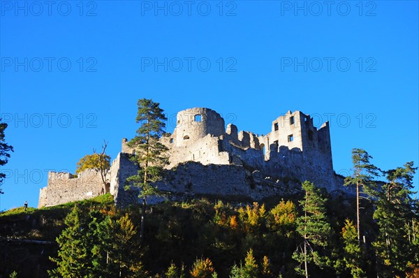 Ehrenberg Castle Ruin