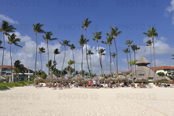 Palm leaf bar and parasols