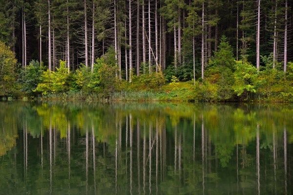 Hochwald reflected in a lake