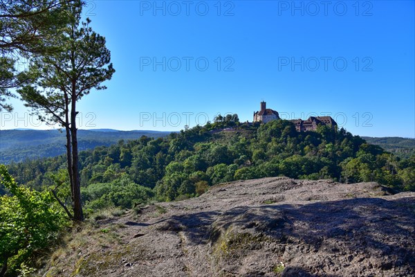 View from the Metilstein to the Wartburg near Eisenach in Thuringia
