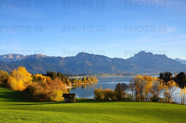 Forggensee