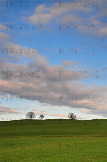 Hilly landscape in the Bavarian foothills of the Alps near Steingaden in Allgaeu