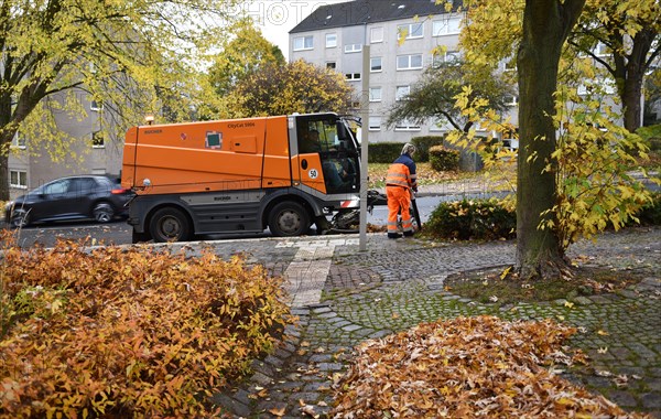 Sweeper sweeps leaves in autumn