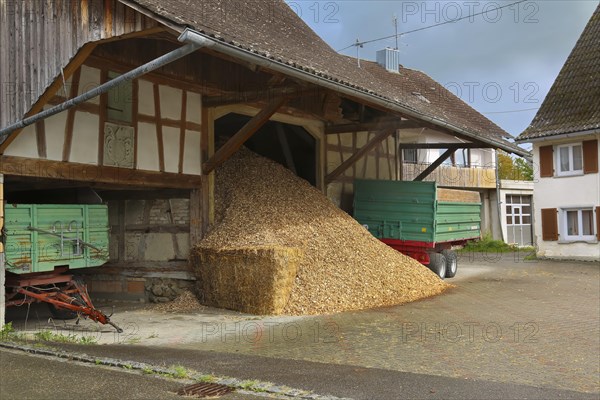 Half-timbered building