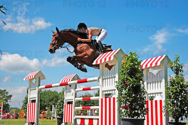 Show Jumping