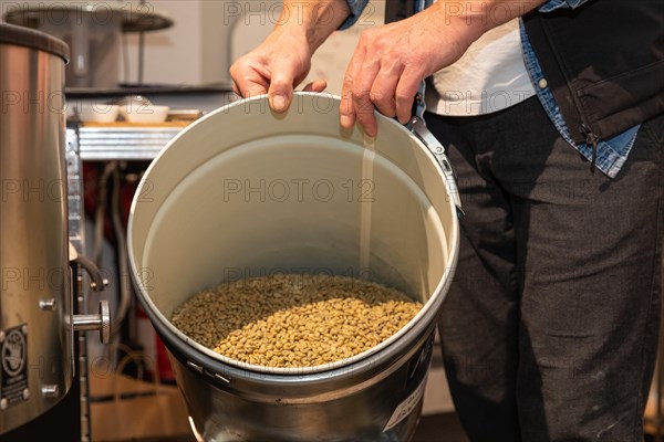 Green coffee in buckets