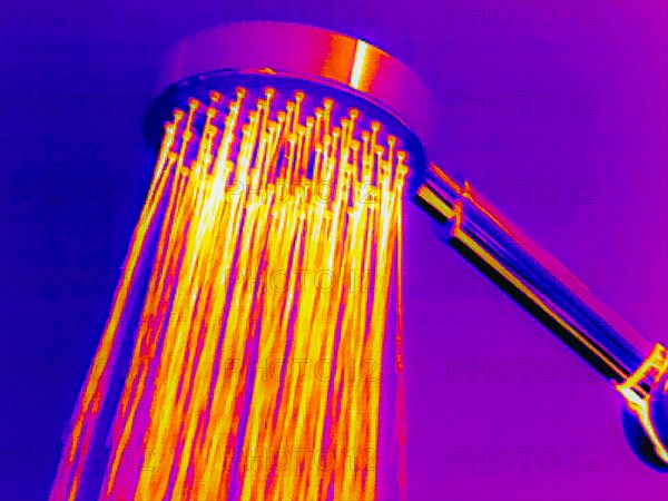 Shower head