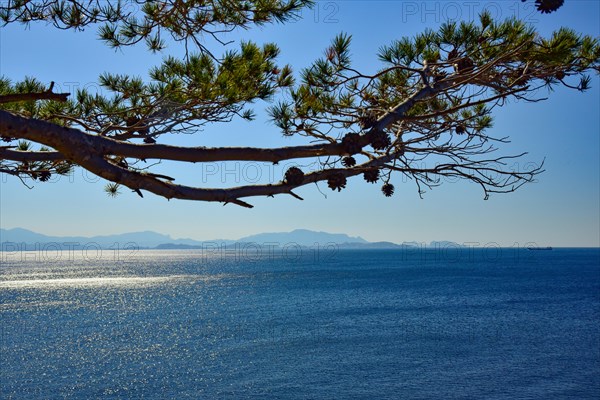 View towards Marseille on the customs officers path