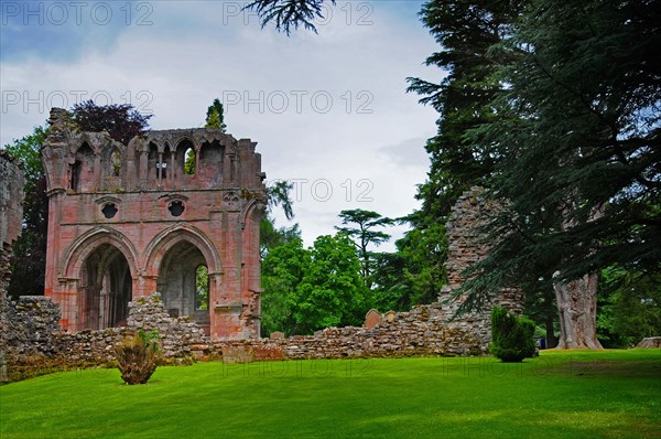 Ruins of Dryburgh Abbey