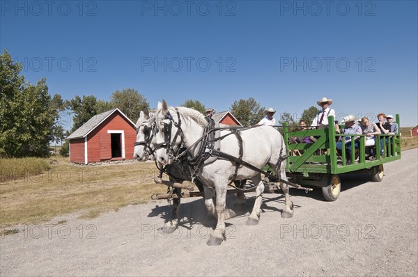 Horse drawn carriage