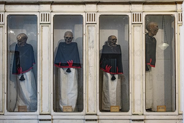 Mummified monks in the Chiesa Rettoria Santa Maria del Suffragio