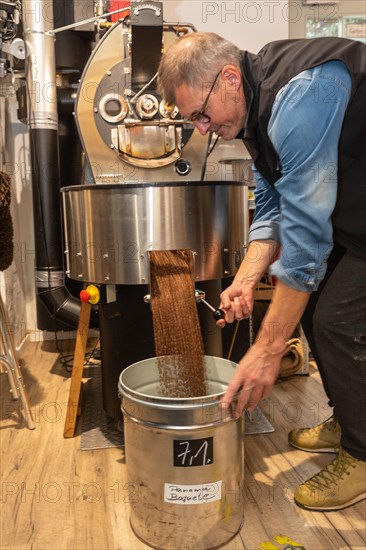 Roasted coffee is filled into buckets