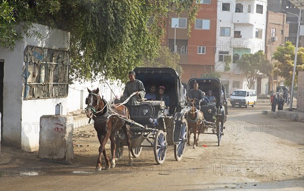 Horse-drawn carriages on the main street in Edfu