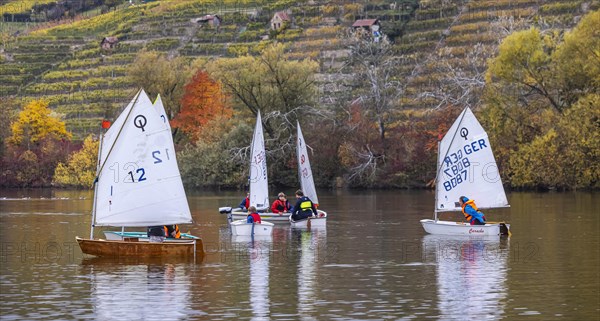 Regatta with the classic training boat Optimist