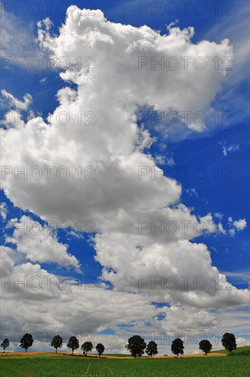 Summer cloudy sky