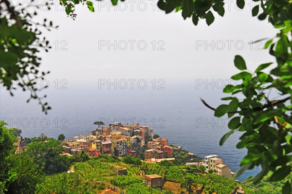 Fishing village Corniglia in the Cinque Terre