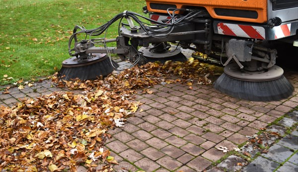 Sweeper sweeps leaves in autumn