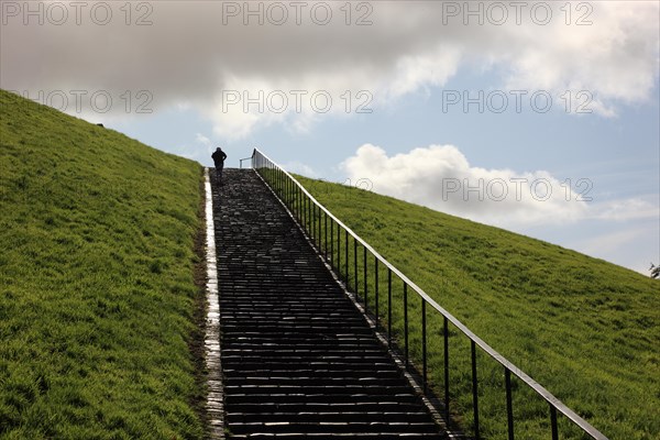 Long staircase in a hillside with grass