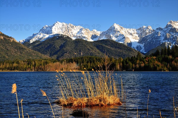 Reed island in the Barmsee lake in Upper Bavaria