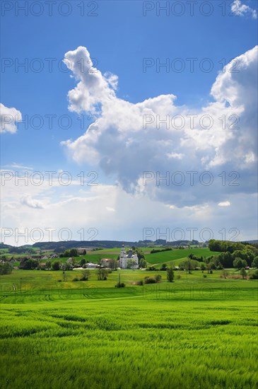 Maria pear tree Pilgrimage Church in Wittelsbach Land