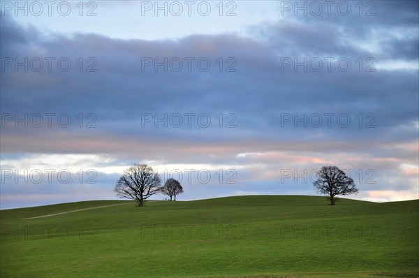 Hilly landscape in the Bavarian foothills of the Alps near Steingaden in Allgaeu