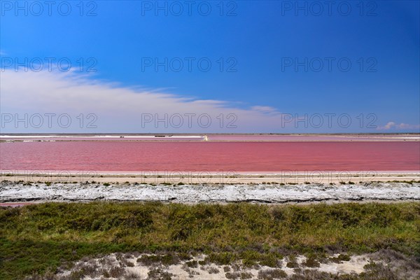 Salt extraction at the Giraud marly water saltworks in the Camargue