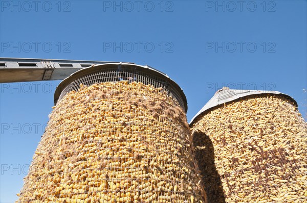 Corn storage bin