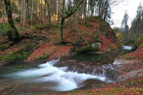 Autumn atmosphere in the Eistobel in the Allgaeu near Isny