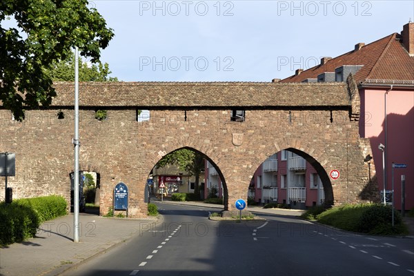 Nibelungen Museum