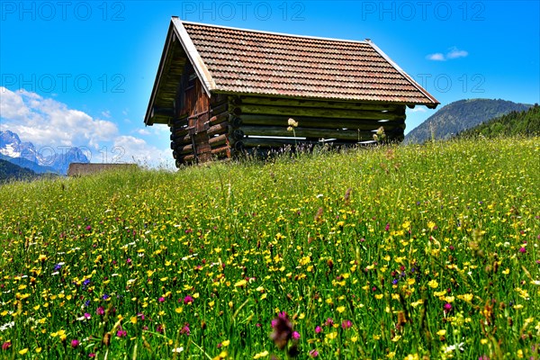 Hay barn on an alpine meadow in summer near Garmisch