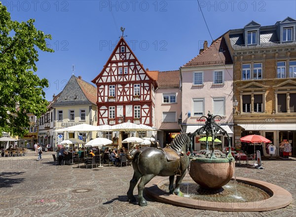 Rossmarkt with fountain and historic buildings