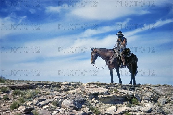 Cowboy and guide