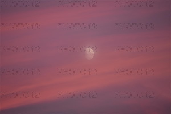 Rising moon in the evening sky with clouds