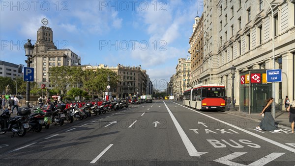 Bus Lane