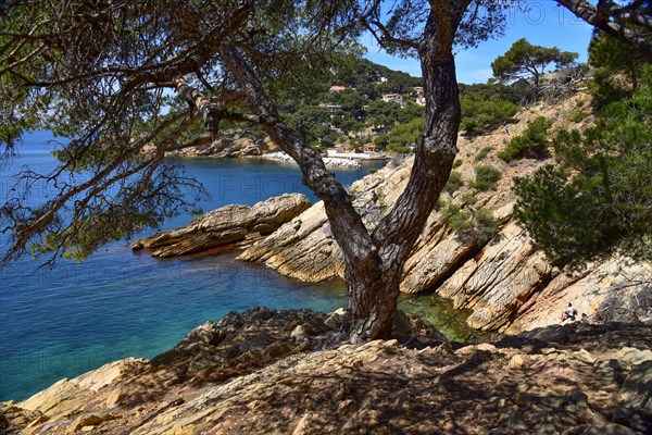 Calanque de Mejan on the customs officers path