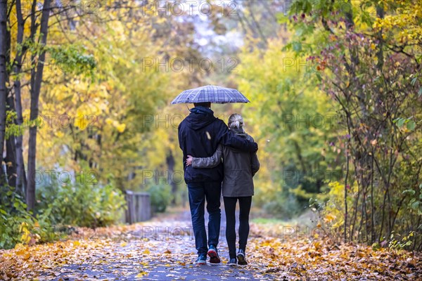 Golden October with walkers