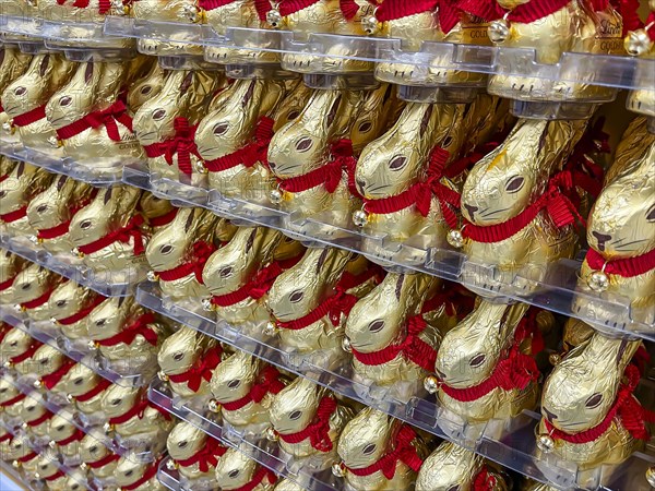 Lindt brand Easter bunnies