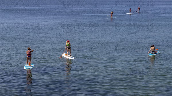 Standup Paddler