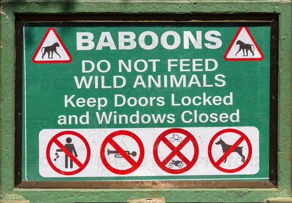 Do not feed baboons