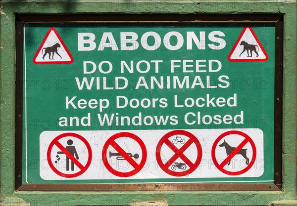 Do not feed baboons