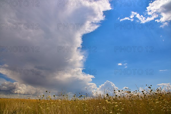 Cloud formation