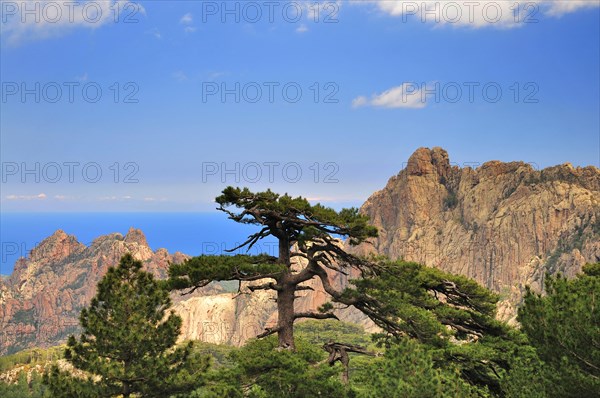 The Bavella Massif in Eastern Corsica