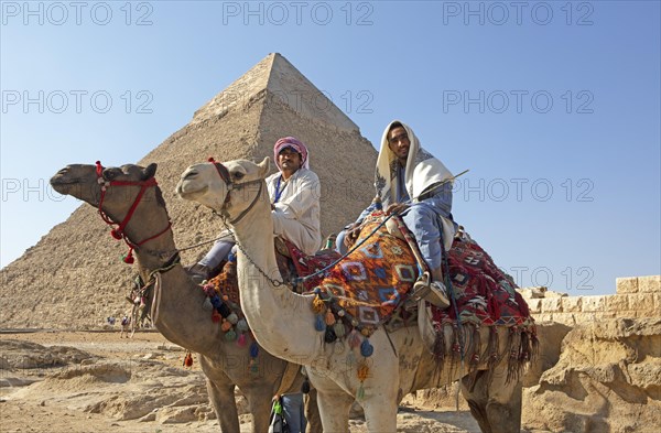 Egyptian men on camelid