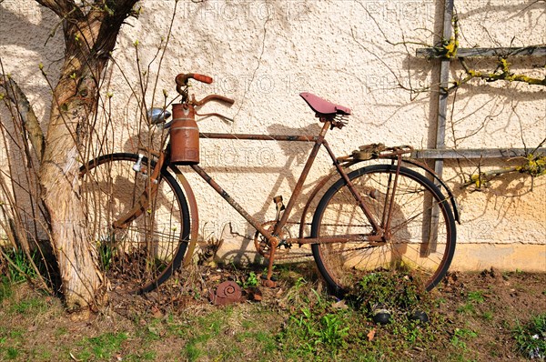 Old bicycle with milk can leaning against a house wall