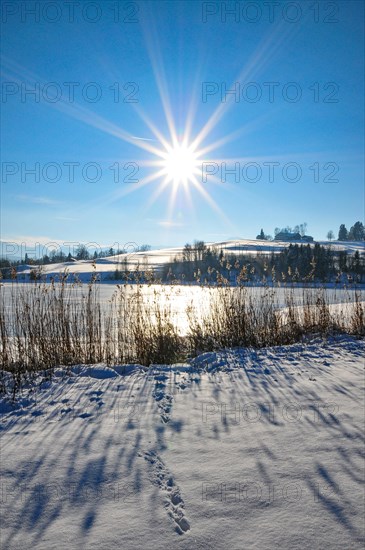 Winter pond in Allgaeu