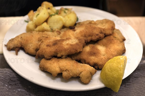 A portion of Schnitzel Viennese style with fried potatoes in a Franconian inn