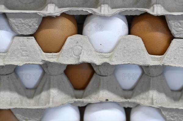 Egg carton eggs